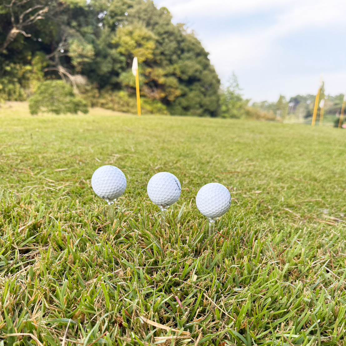 SlipTee×Marty Golf (3本入り)