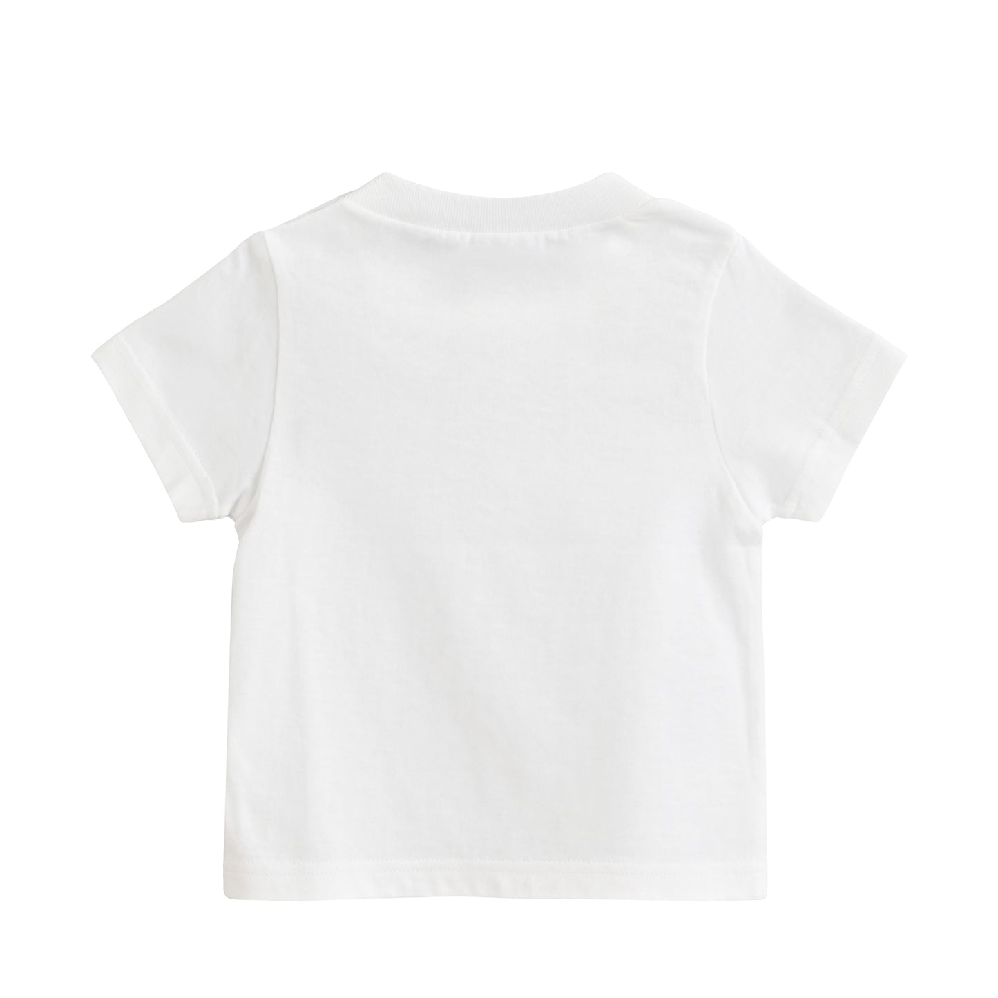 Tanuki KIDST white image